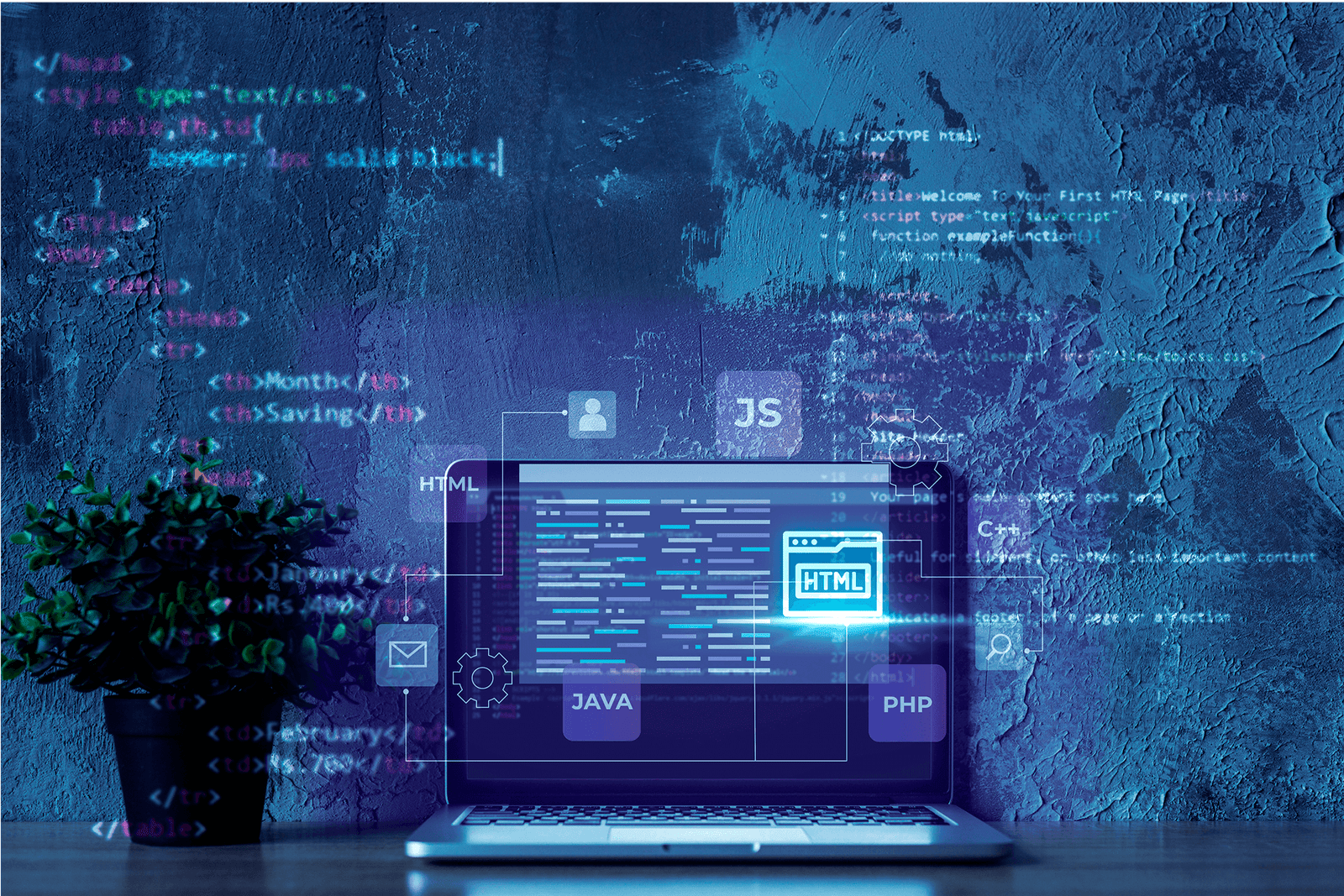 Backend Dev